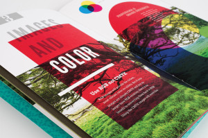 Adobe "Can Do" Guides interior spread: Images and Color, tree