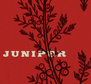 Bitters + Bottles: Juniper graphic