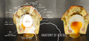 Anatomy of a Rebel for Craftsman and Wolves