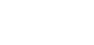 The North Face logo