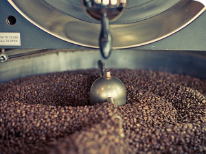 Verve Coffee Roasters beans