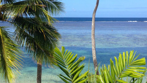 Photo of Naviti Resort palms and sea