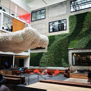 Cloud and plant wall installations in a contemporary workspace