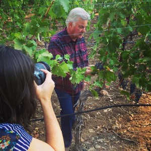 Photoshoot process: winemaker Ted Edwards for Freemark Abbey