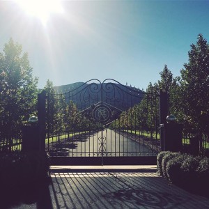St. Helena Inglenook Winery