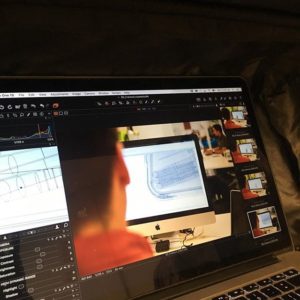 Stephen Gould process at laptop screen