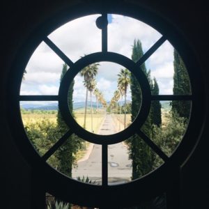 View to countryside and aisle of palms through round window