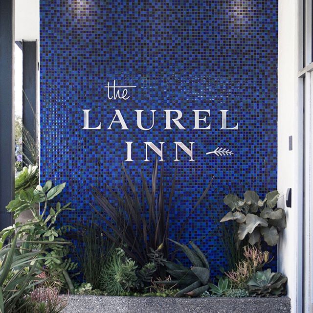 The Laurel Inn is a boutique hotel in the charming Pacific Heights neighborhood in SF with strong mid-century modern sensibilities. We had the opportunity to build a new brand identity system, which included exploring and creating custom typography for the logo. Read through our lead designer's thoughts behind the concept below and swipe left to see more photos!
-
"I wanted to create something quiet and refined, elegant and practical. Instead of scrapping the previous mark concept (a laurel), I thought it would be nice to simplify the icon to something more symbolic, less illustrative. In contrast to the organic mark, the letters are angular (referring to the exterior) and funky — the contrast of the letters flares in a way that alludes to common shapes in mid-century culture."—@yehoshuawhite #chendesign