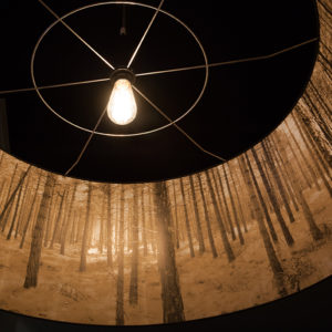 Wydown Hotel forest lampshade
