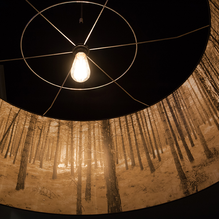 Wydown Hotel forest lampshade