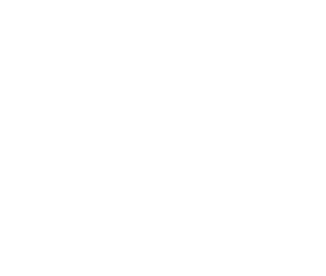 Hodo Foods ingredients illustration