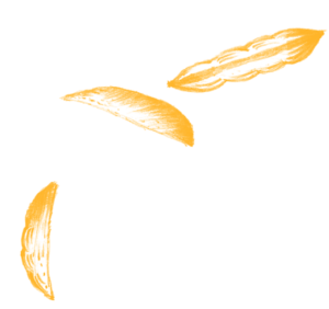 Hodo Foods ingredients illustration
