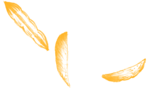 Soybean Illustration