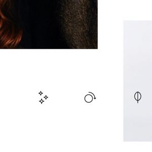 Purist icons