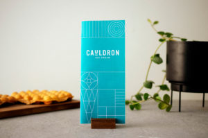 Cauldron Ice Cream brochure, product, and plant
