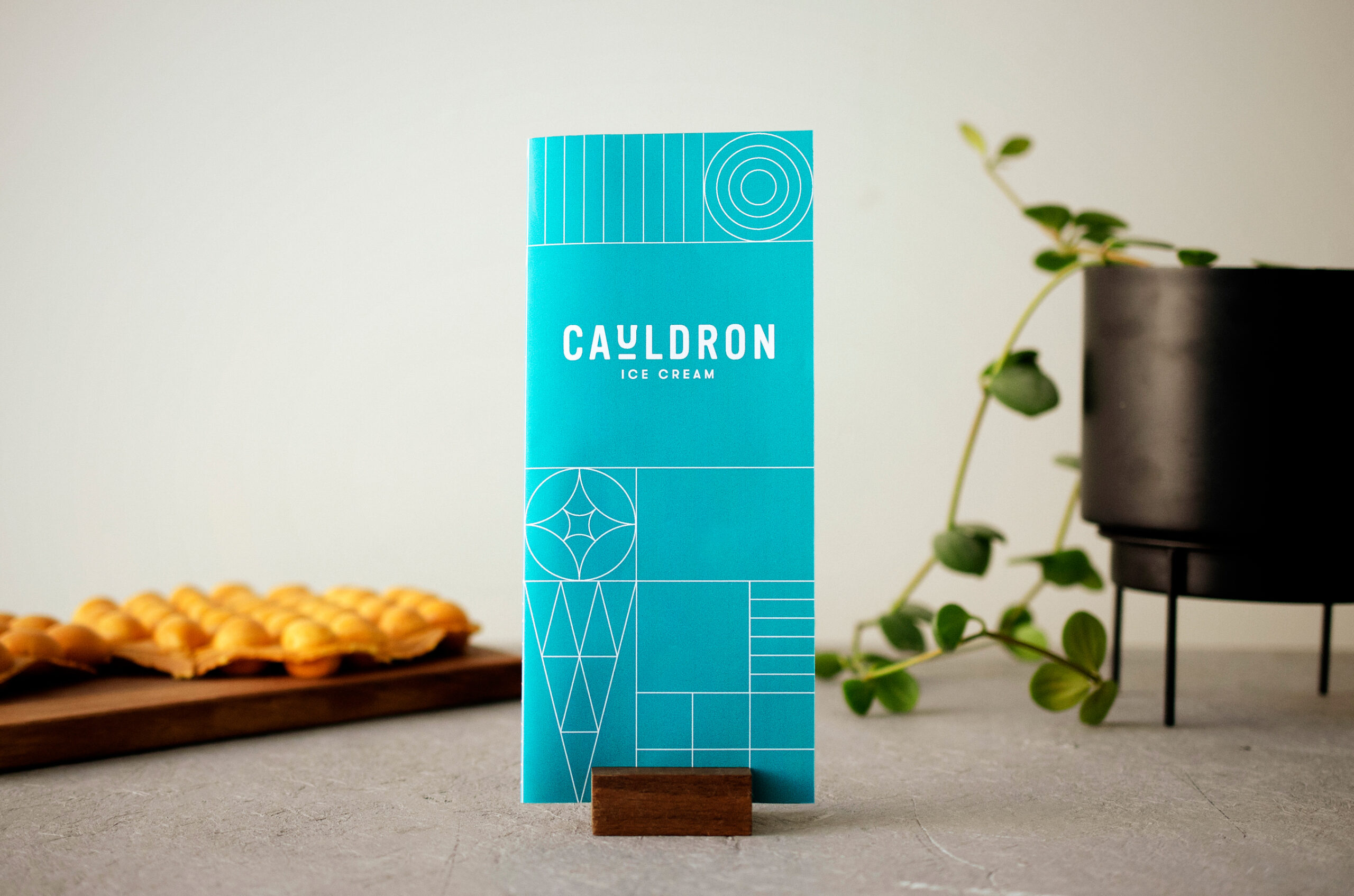 Cauldron Ice Cream brochure, product, and plant