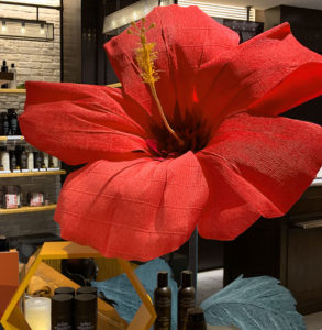 John Masters Organics giant hibiscus