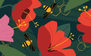 John Masters Organics bee and hibiscus illustration