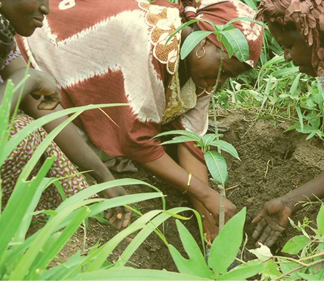 Woman tending to plants