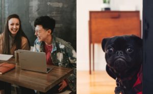 Women laughing at a table with laptop; small black dog