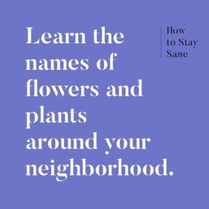 Learn the names of flowers and plants around your neighborhood.