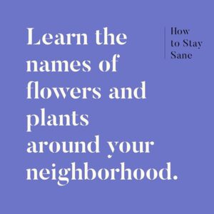 Learn the names of flowers and plants around your neighborhood.