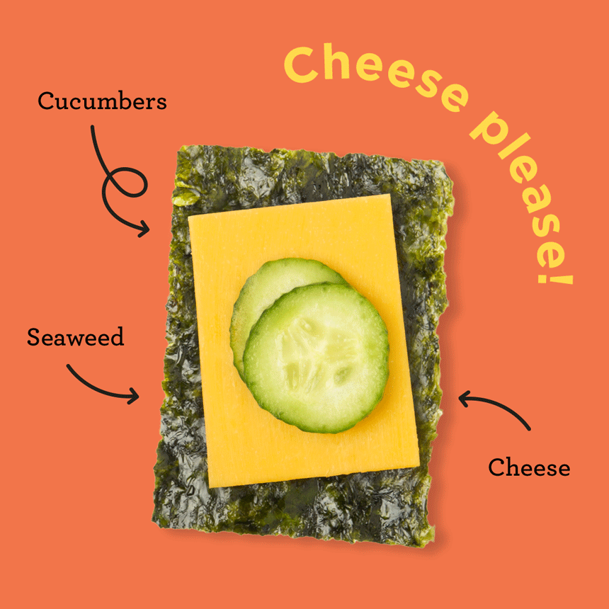 "Cheese please!" animation showing a square of seaweed topped with a slice of cheese and two slices of cucumber