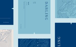 Cropped grid of branded labels for Darling Wines packaging in deep blue, sea blue and cream