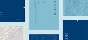 Grid of branded labels for Darling Wines packaging in deep blue, sea blue and cream