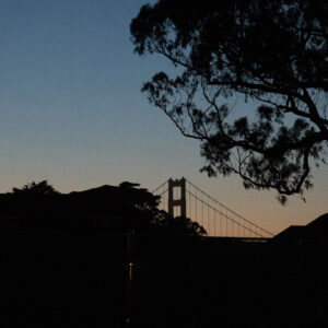Silouette of Golden Gate bridge through trees