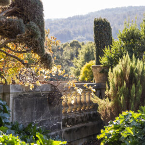 Photo of Filoli terrace