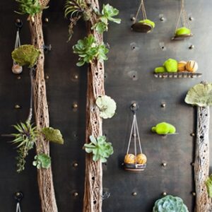 Wydown Hotel living plant installation