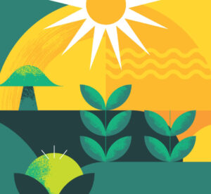 Square illustration of sunshine, plants, and food for Raley's